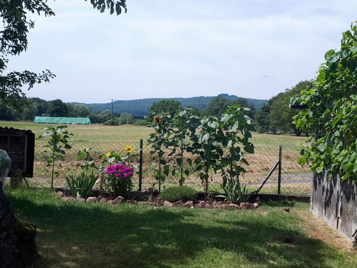 Ferienwohnung Schaefer Steinau an der Straße Exterior foto